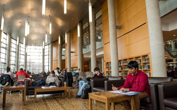 Image: Students studying in library